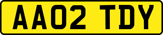 AA02TDY