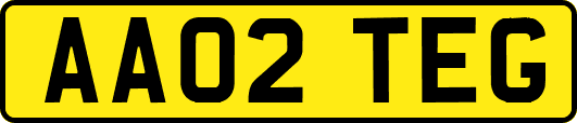AA02TEG