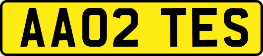 AA02TES