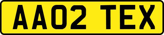 AA02TEX