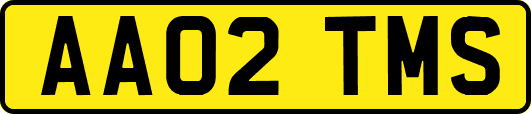 AA02TMS