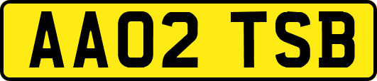AA02TSB