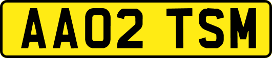 AA02TSM