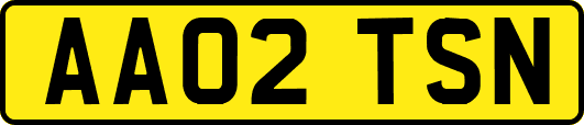 AA02TSN