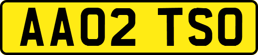 AA02TSO