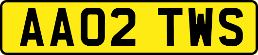 AA02TWS