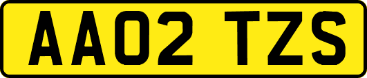 AA02TZS