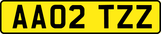 AA02TZZ
