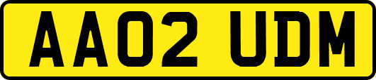 AA02UDM