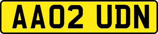 AA02UDN