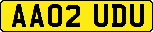 AA02UDU