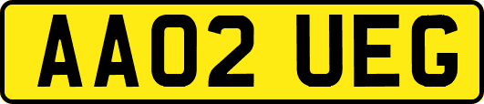 AA02UEG