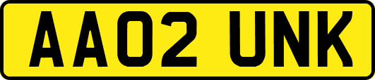 AA02UNK