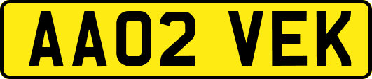 AA02VEK