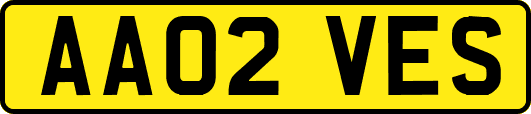 AA02VES