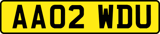 AA02WDU