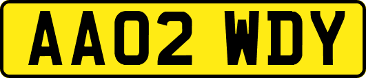 AA02WDY