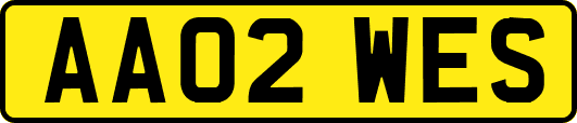 AA02WES