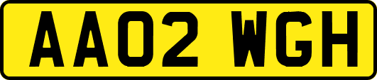 AA02WGH