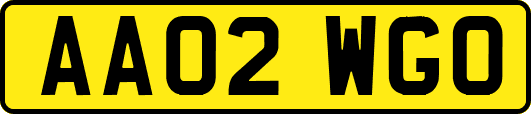 AA02WGO