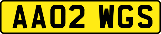 AA02WGS