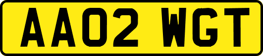 AA02WGT