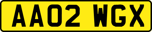 AA02WGX