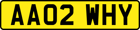 AA02WHY