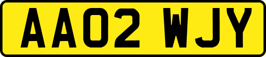 AA02WJY