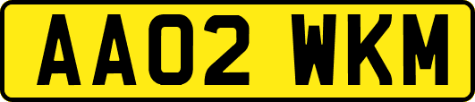 AA02WKM