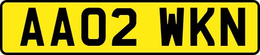 AA02WKN