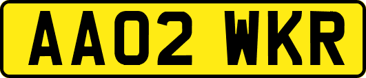 AA02WKR