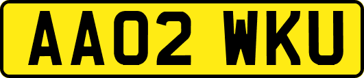 AA02WKU
