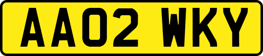 AA02WKY