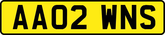 AA02WNS