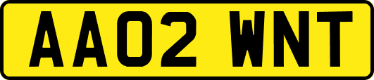 AA02WNT