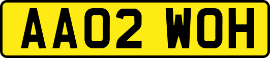 AA02WOH