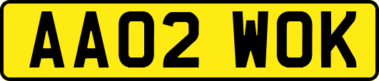 AA02WOK
