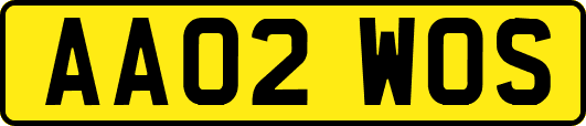AA02WOS