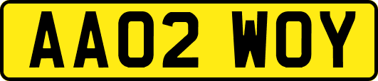 AA02WOY