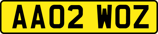 AA02WOZ