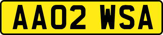AA02WSA