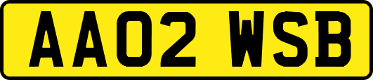 AA02WSB
