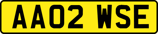 AA02WSE