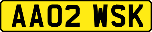 AA02WSK