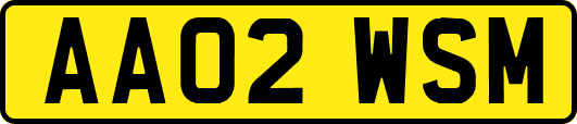 AA02WSM