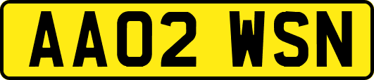 AA02WSN