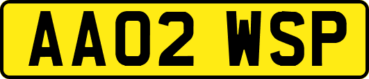 AA02WSP