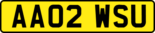 AA02WSU