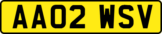 AA02WSV
